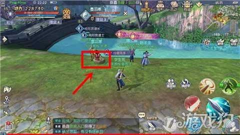 探索每天喝蒲公英泡水,坚持一个月,对身体有什么好处?,发现答案的乐趣